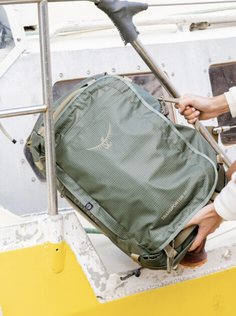 TRANSPORTER SQUFFEL. 44 PINE LEAF GREEN