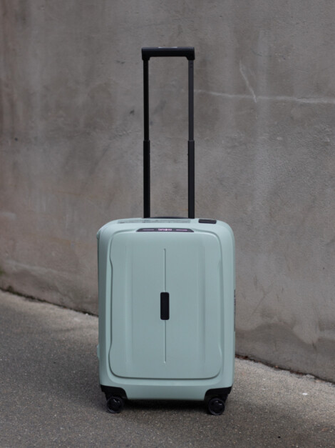 ESSENS SAGE 55CM
