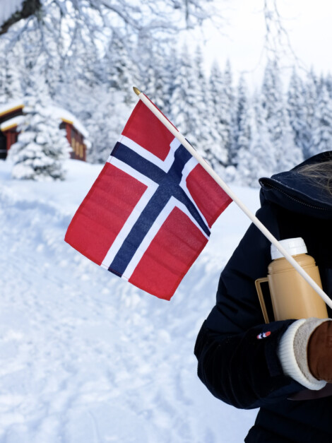 SKI-VM FLAGG