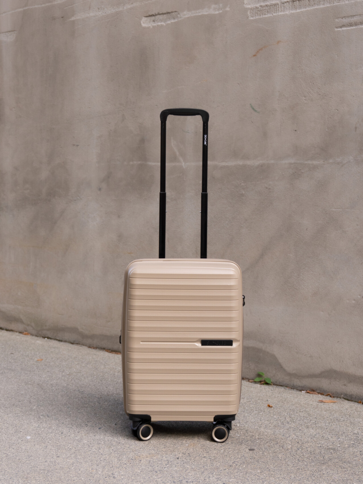 PP 08 EXP 55CM BEIGE