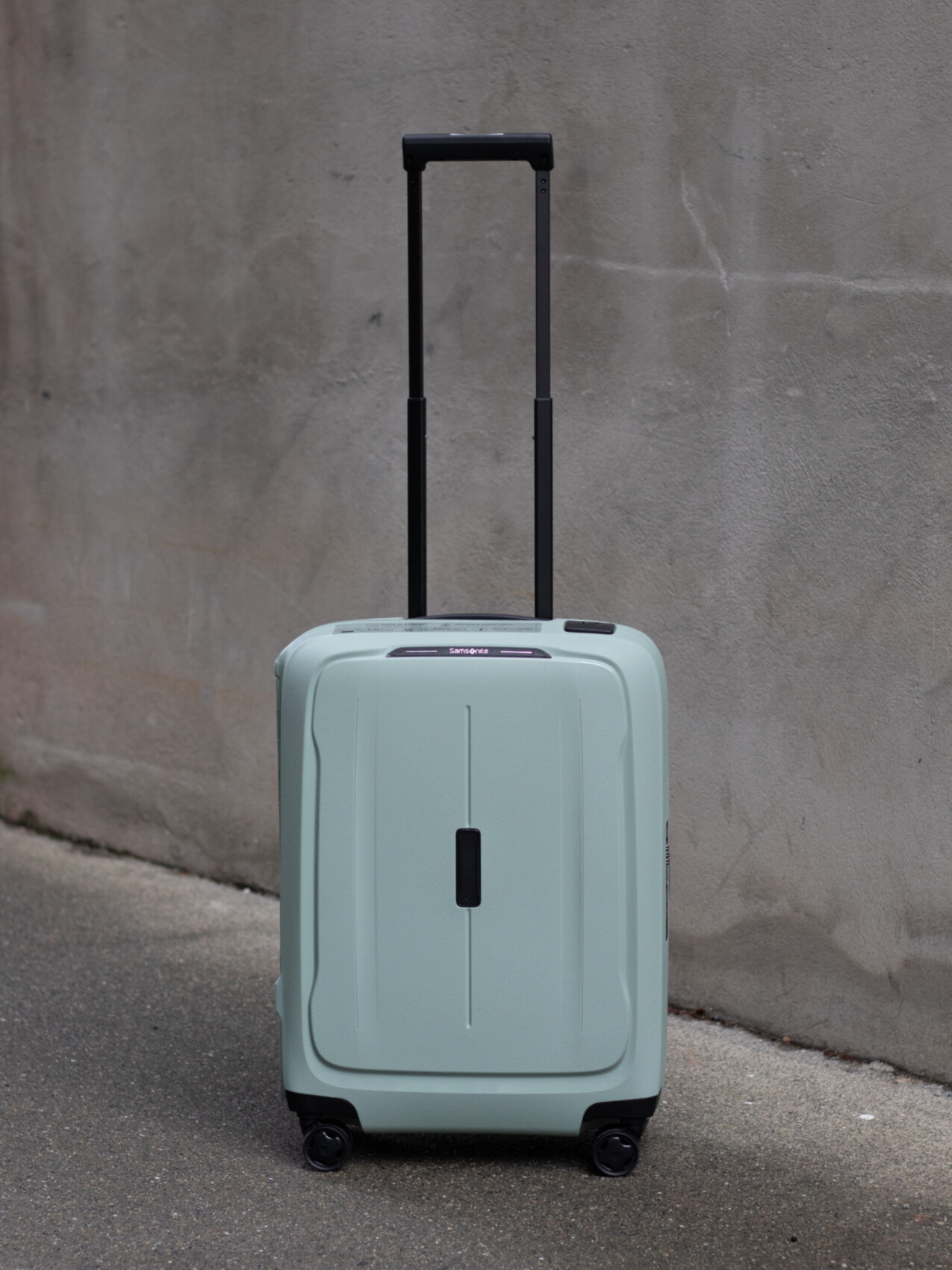 ESSENS SAGE 55CM