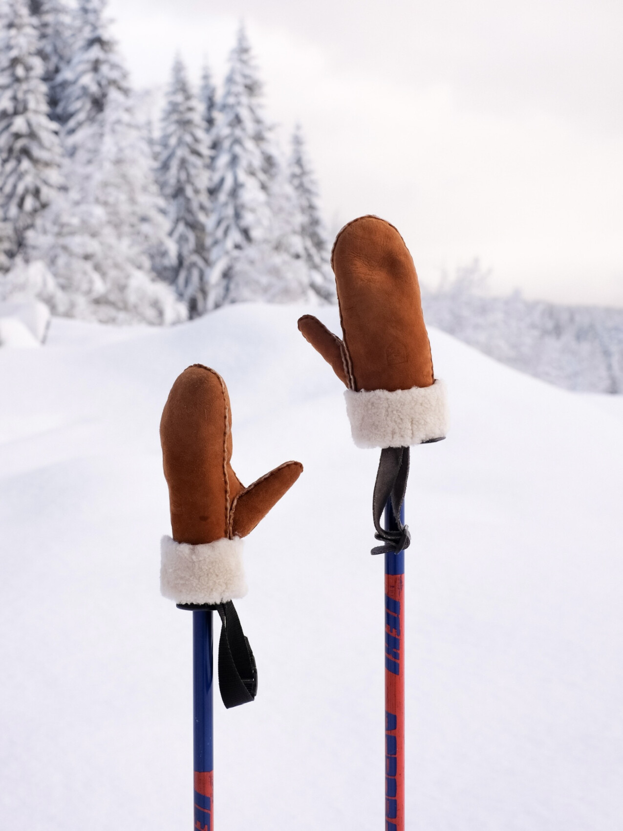 SHEEPSKIN MITT KORK